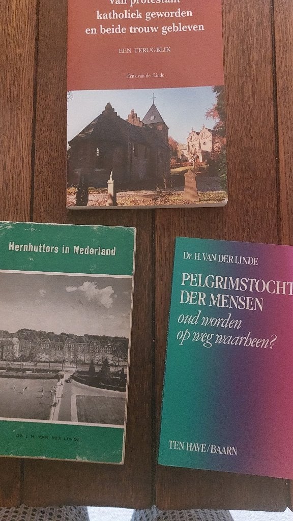 H. v.d.Linde: pelgrimstocht+ hernhutters+ protestant-kath..., Ophalen of Verzenden, Gelezen, Christendom | Katholiek