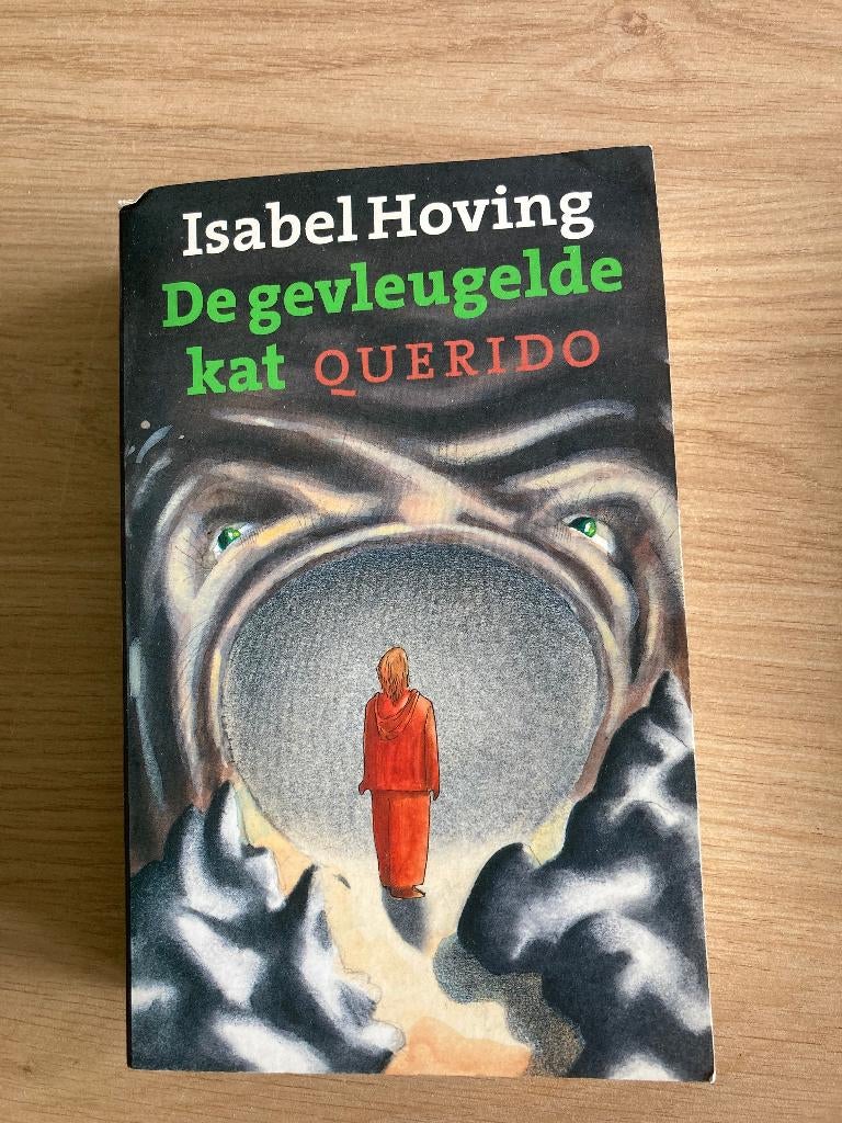 Boek Isabel Hoving, Boeken, Ophalen of Verzenden, Gelezen
