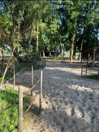 Laatste plekje vrij in Shetlander Paddock Paradise, Dieren en Toebehoren, Stalling en Weidegang, Weidegang, 4 paarden of pony's of meer