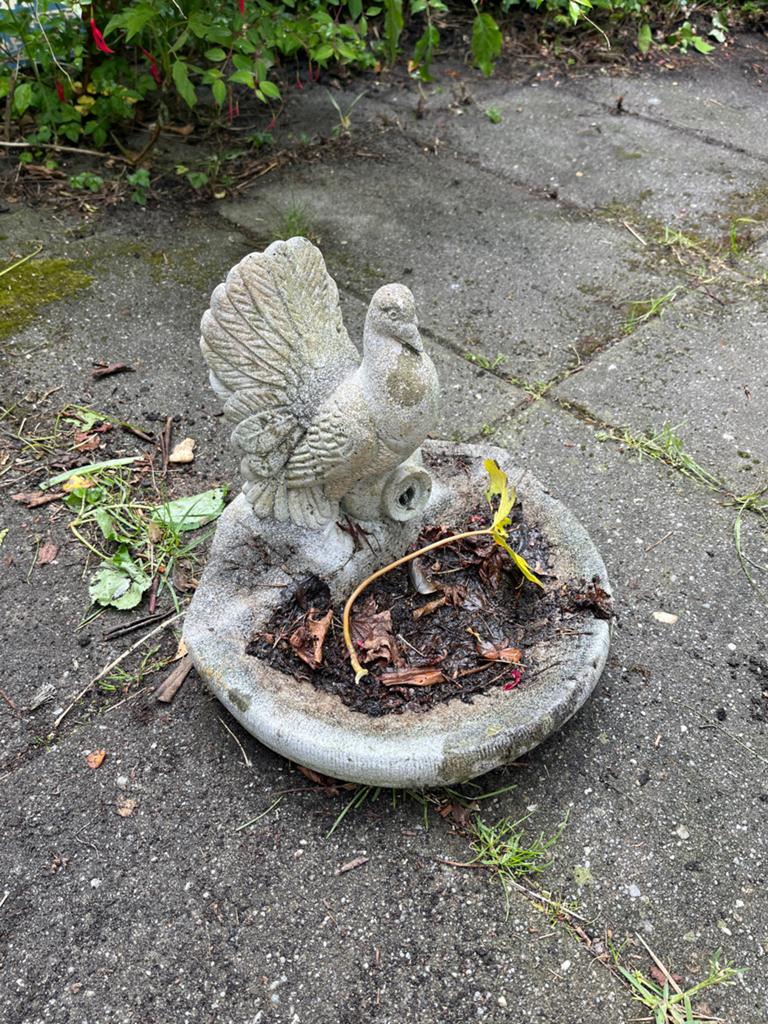 Betonnen duivenbeeld met schaal - Tuindecoratie, Tuin en Terras, Ophalen, Gebruikt, Beton, Dierenbeeld