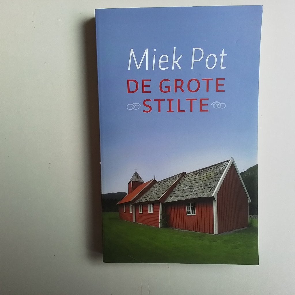 De grote stilte, Ophalen of Verzenden, Zo goed als nieuw, Spiritualiteit algemeen, Overige typen