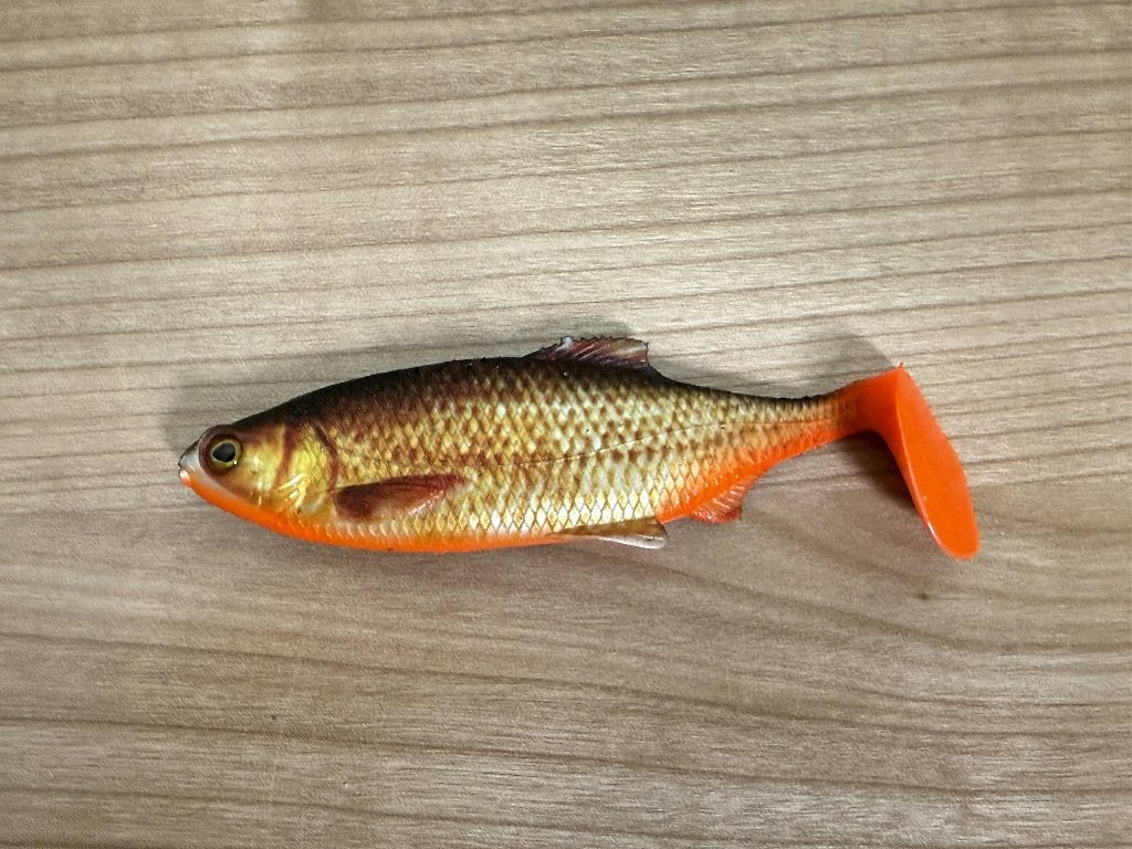 Westin Ricky the Roach 10 cm Real Rudd nieuw, Overige typen, Nieuw, Ophalen of Verzenden, E
