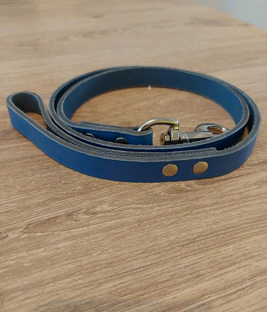 Nieuwe! degelijke leren hondenriem, Kleding | Dames, Riemen en Ceinturen, Ophalen of Verzenden, Nieuw, Zwart, 5 cm of meer