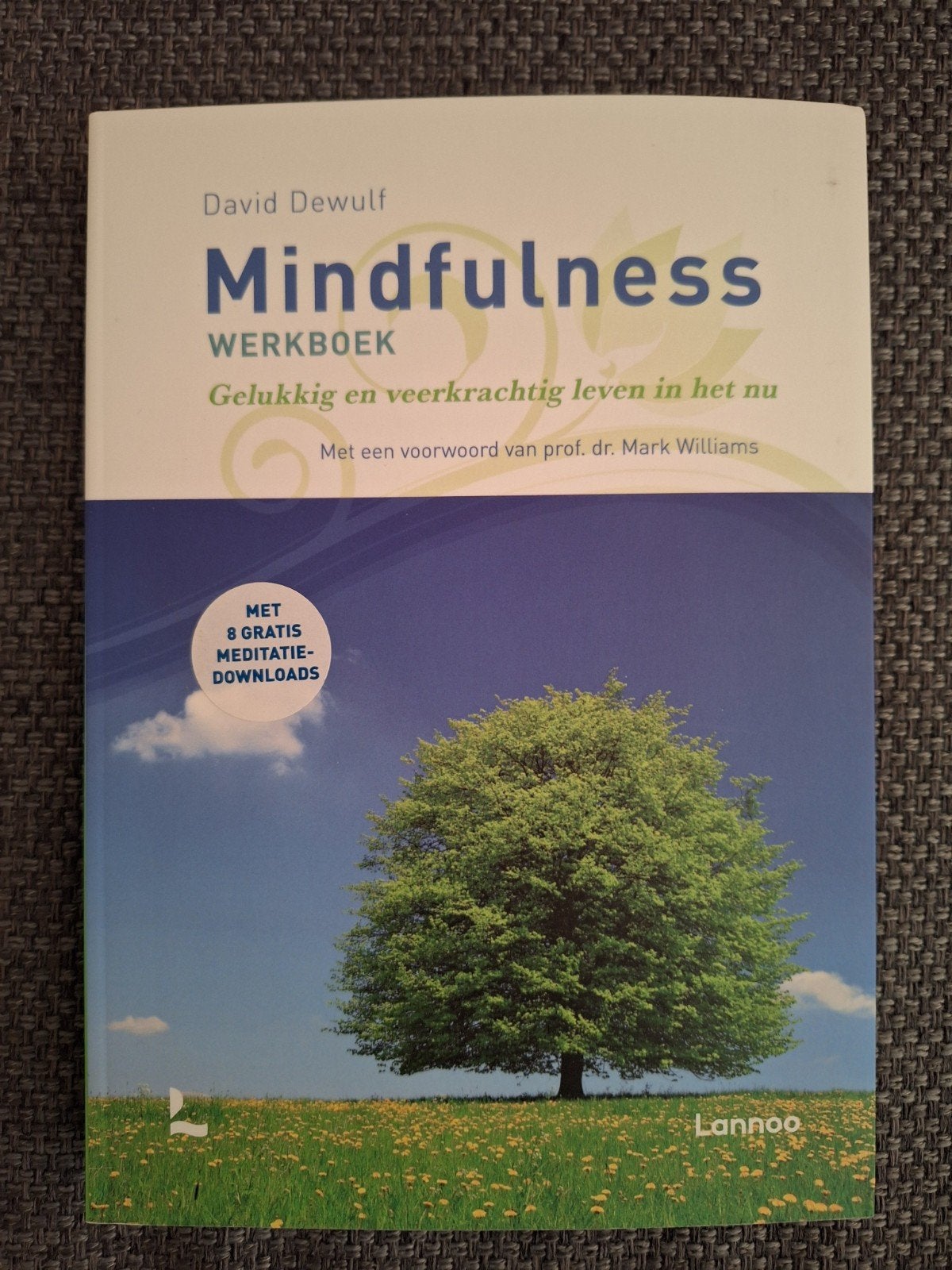Mindfulness Werkboek David Dewulf - Nieuwstaat, Verzenden, Nieuw, Klinische psychologie, David Dewulf