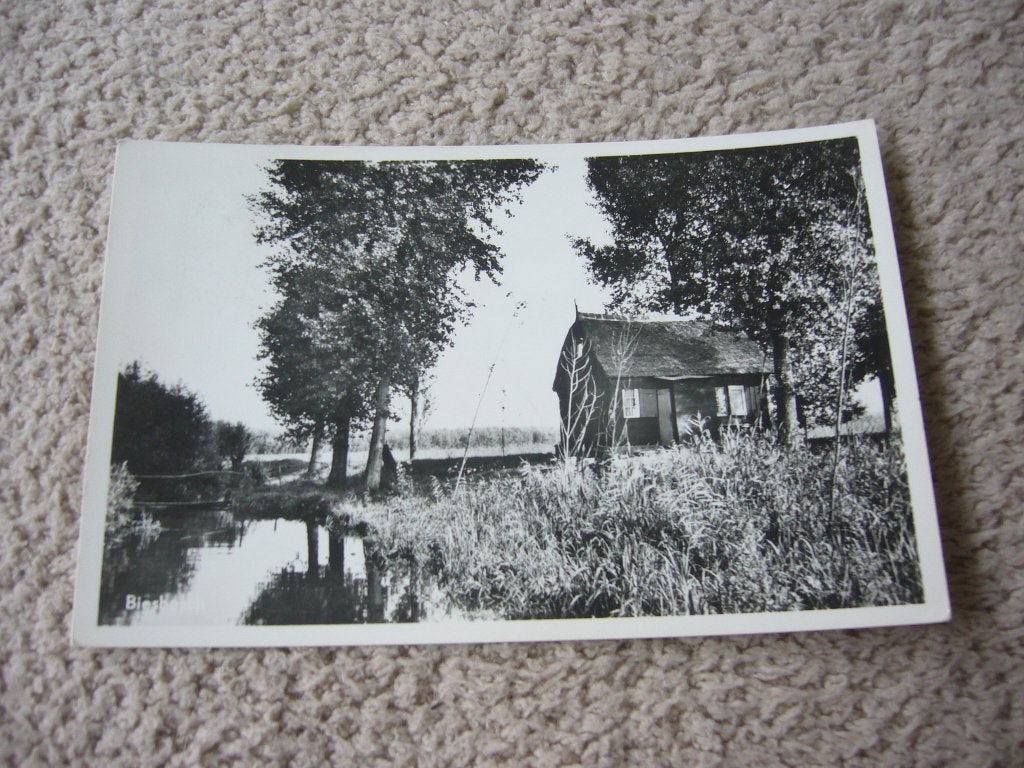 BIESBOSCH, Ophalen of Verzenden, 1940 tot 1960, Gelopen, Noord-Brabant