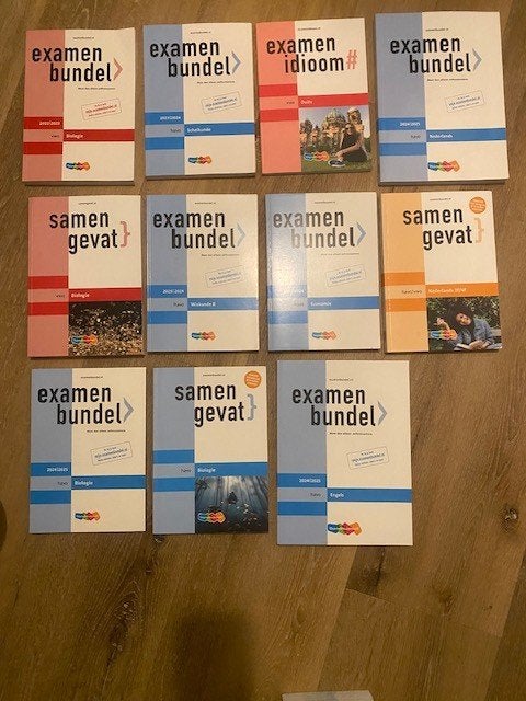 Havo/VWO diverse examenbundels, Samengevat, woordenboeken