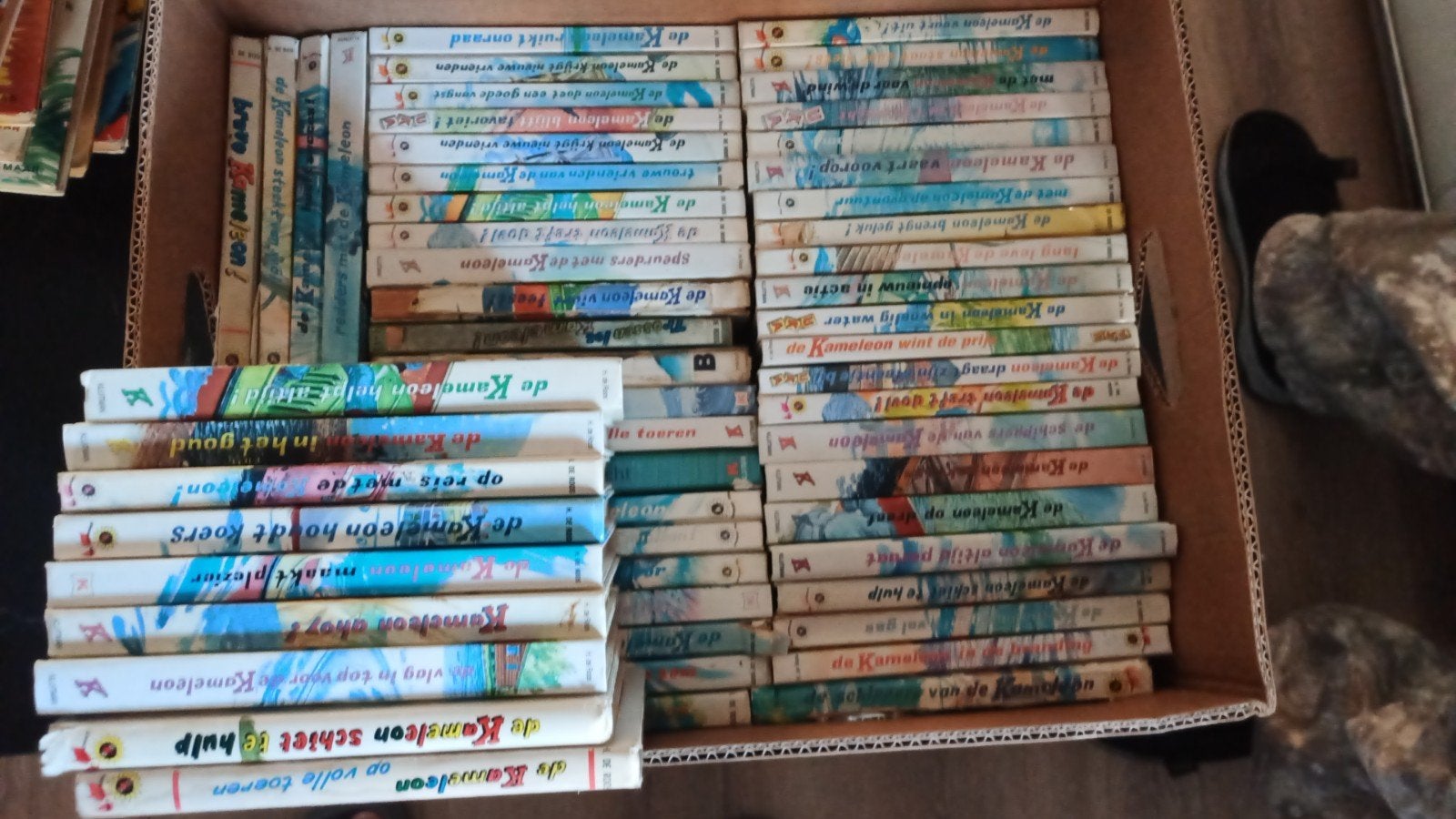 Kameleon boeken, Boeken, Ophalen, Gelezen, Overige onderwerpen, H de Roos