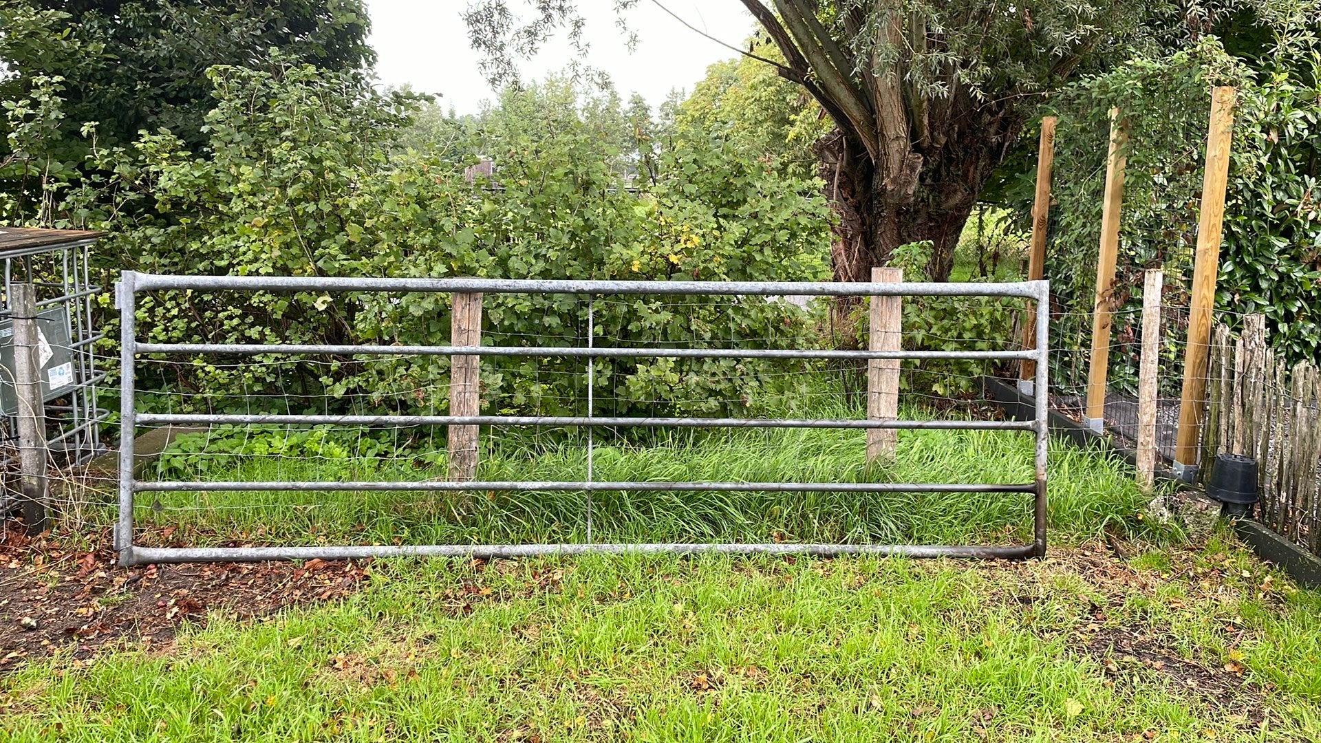 Weidehek, Tuin en Terras, Ophalen, Gebruikt, IJzer, Tuinhek