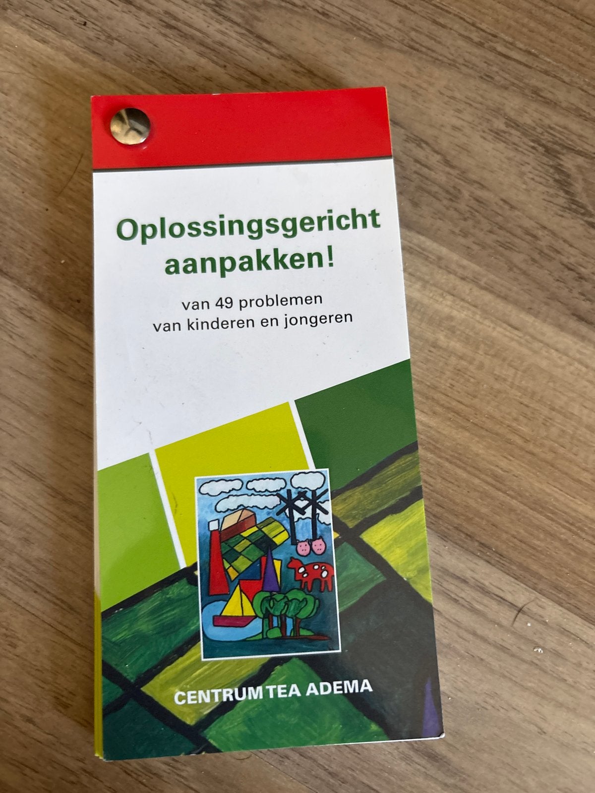 Oplossingsgericht aanpakken! 49 problemen kinderen en jonger, Ophalen of Verzenden, Zo goed als nieuw