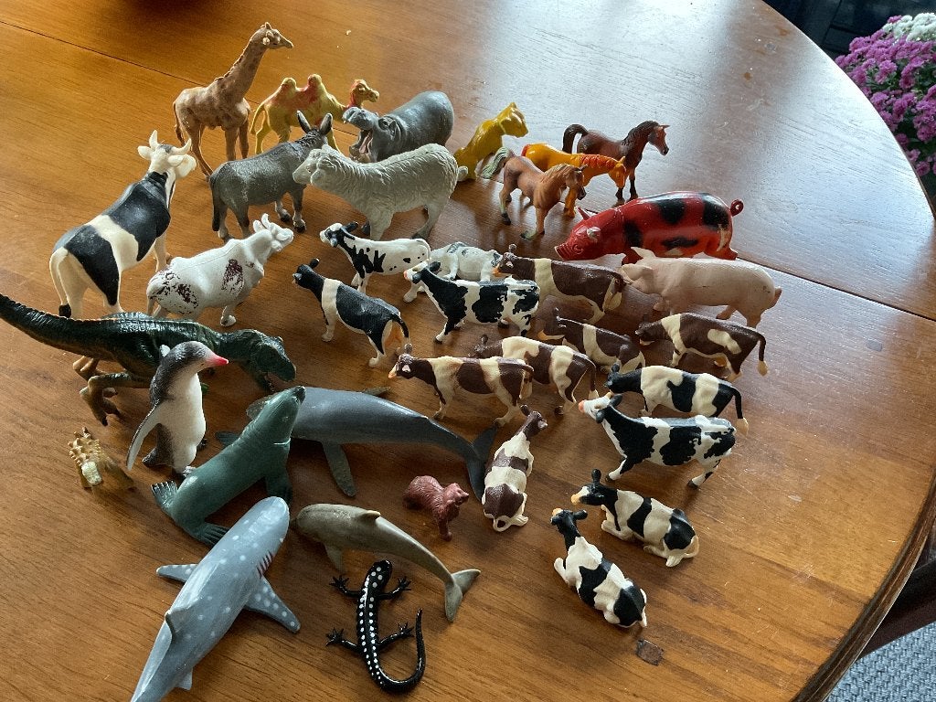(boerderij)dieren, Ophalen of Verzenden, Zo goed als nieuw, Overige typen