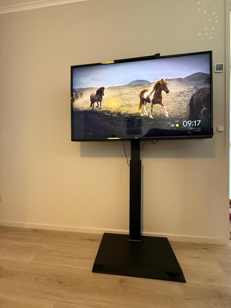 LG 49UK6400 49" Smart TV (2019 model) met standaard, Ophalen, Gebruikt, 100 cm of meer, 4k (UHD)