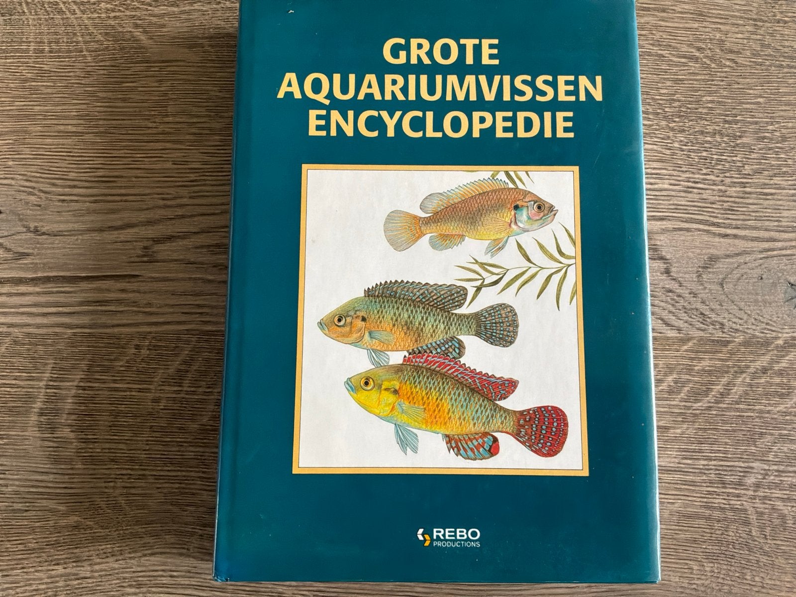 Grote Aquariumvissen Encyclopedie - REBO Productions, Boeken, Ophalen of Verzenden, Zo goed als nieuw, Overige onderwerpen
