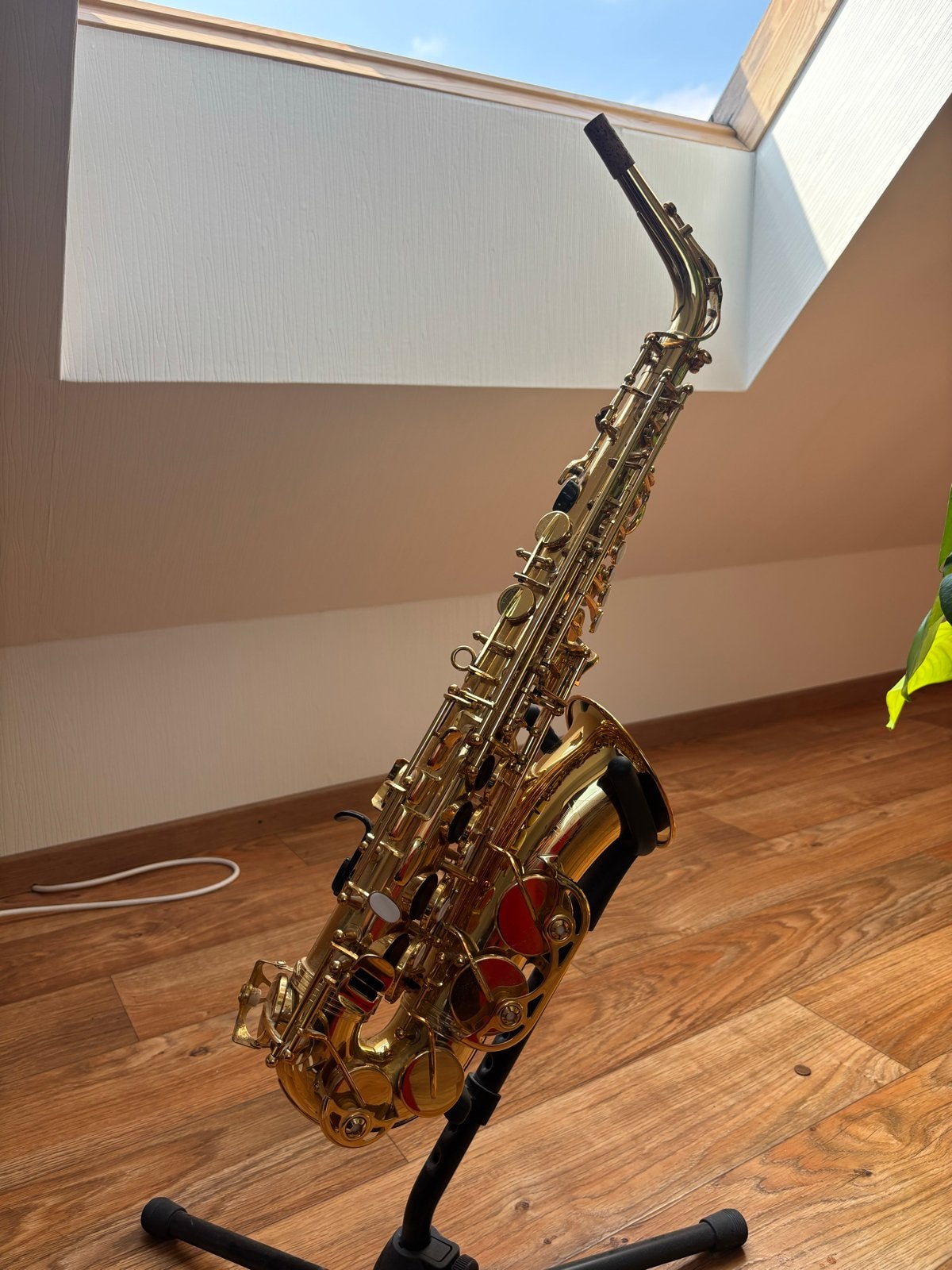 Alt saxofoon - Compleet met koffer en accessoires, Ophalen of Verzenden, Gebruikt, Alt, Met koffer