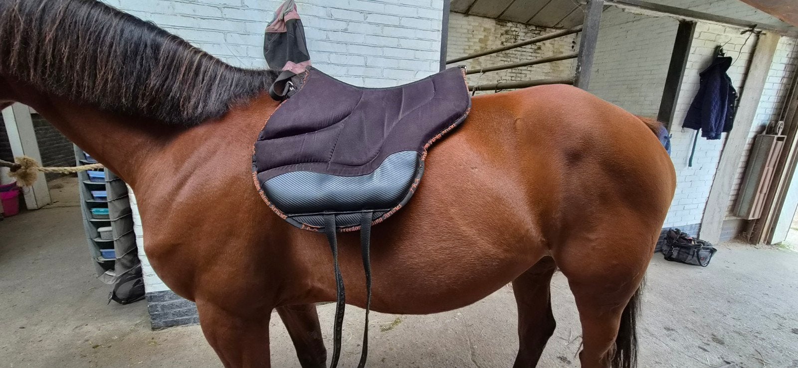 FRA Dardo barebackpad maat full, Ophalen of Verzenden, Zo goed als nieuw