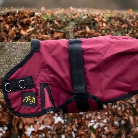 HB veulendeken ukki 70 en 80 cm, Dieren en Toebehoren, Ophalen of Verzenden, Nieuw