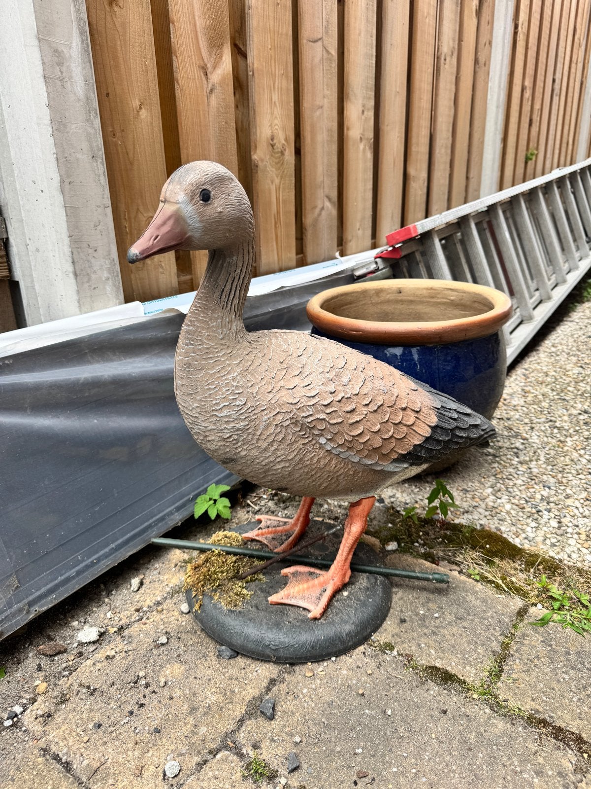 Tuinbeeld gans - kunstof, Ophalen, Gebruikt, Kunststof, Dierenbeeld