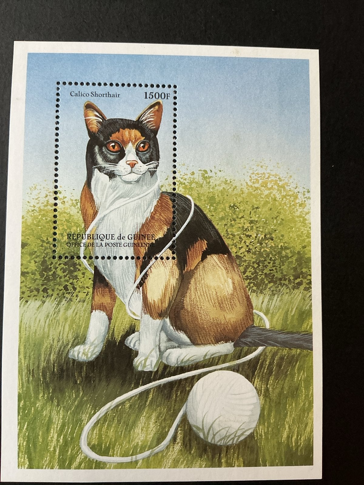 Postzegels Guinee - Katten (Calico Shorthair), Ophalen of Verzenden, Onbeschreven, Rest van de wereld