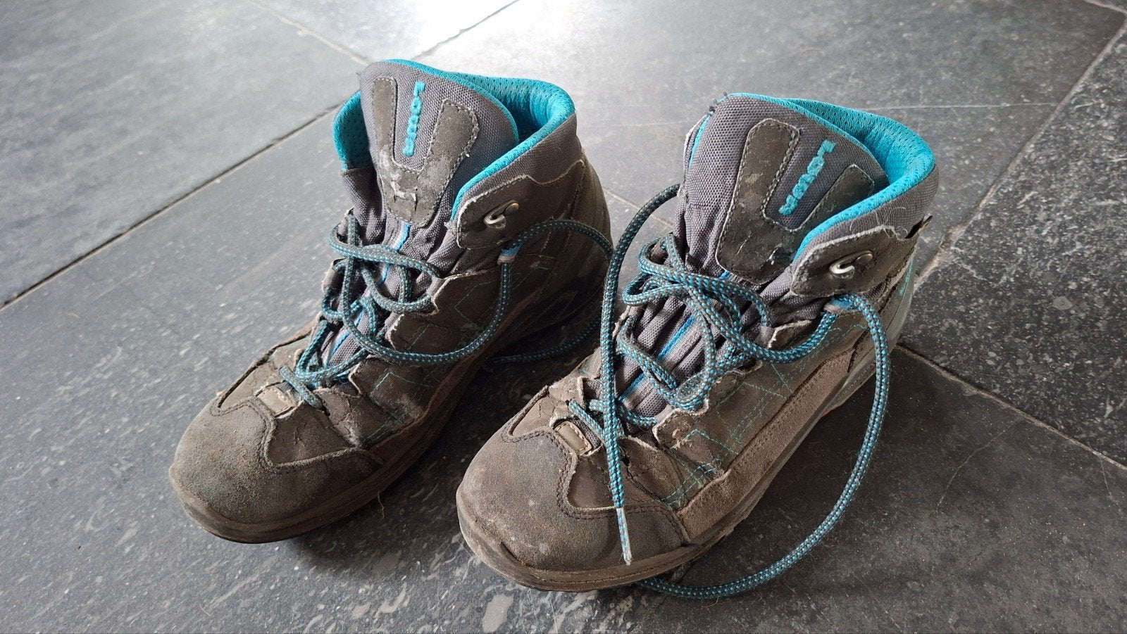 Lowa wandelschoenen maat 37 - Comfortabel en stevig, Ophalen of Verzenden, Gebruikt, Schoenen