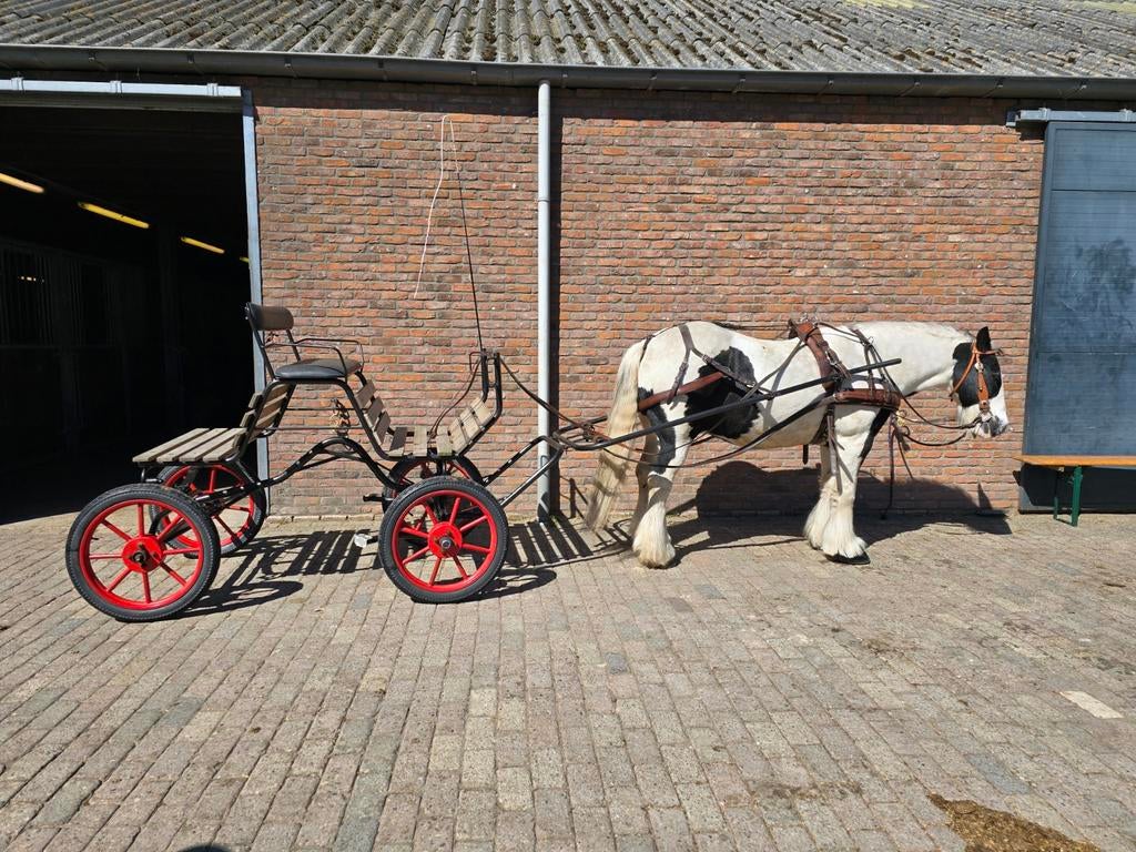Super fijne menwagen plus tuig te koop, Dieren en Toebehoren, Ophalen of Verzenden, Gebruikt