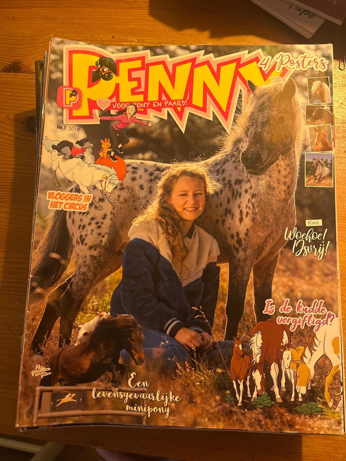 Penny Jaargang 2019, Ophalen, Gelezen, Overige typen