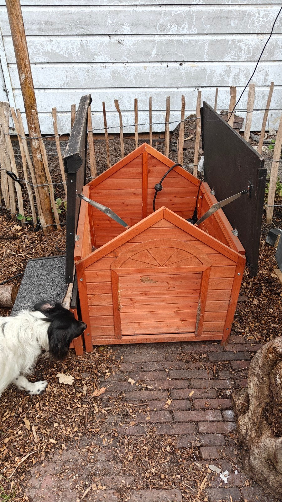 Hondenhok, voor medium sized honden, Ophalen, Gebruikt, 65 tot 100 cm, Hondenhok