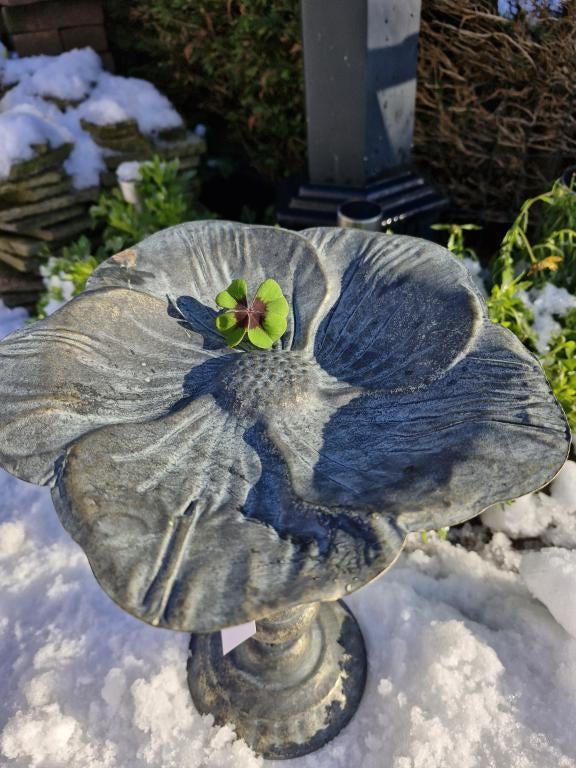 vogelvoederbak , bloem, Tuin en Terras, Ophalen of Verzenden, Atw, Atw, Nieuw