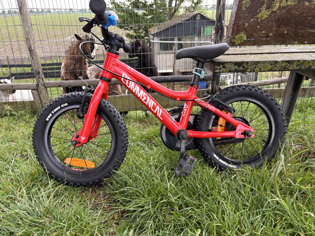 Kinderfiets, Ophalen, Gebruikt, Velgrem, 14 inch of minder
