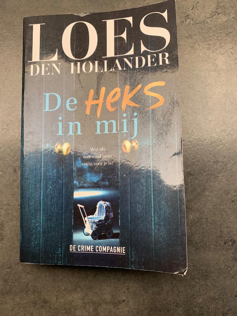 Boek De heks in mij (Loes den Hollander), Ophalen of Verzenden, Zo goed als nieuw