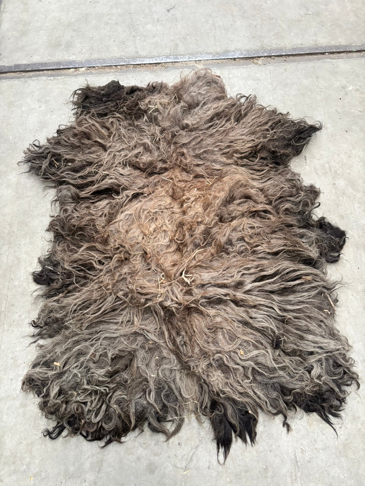 Schapenkleed groot, Ophalen of Verzenden, Zo goed als nieuw