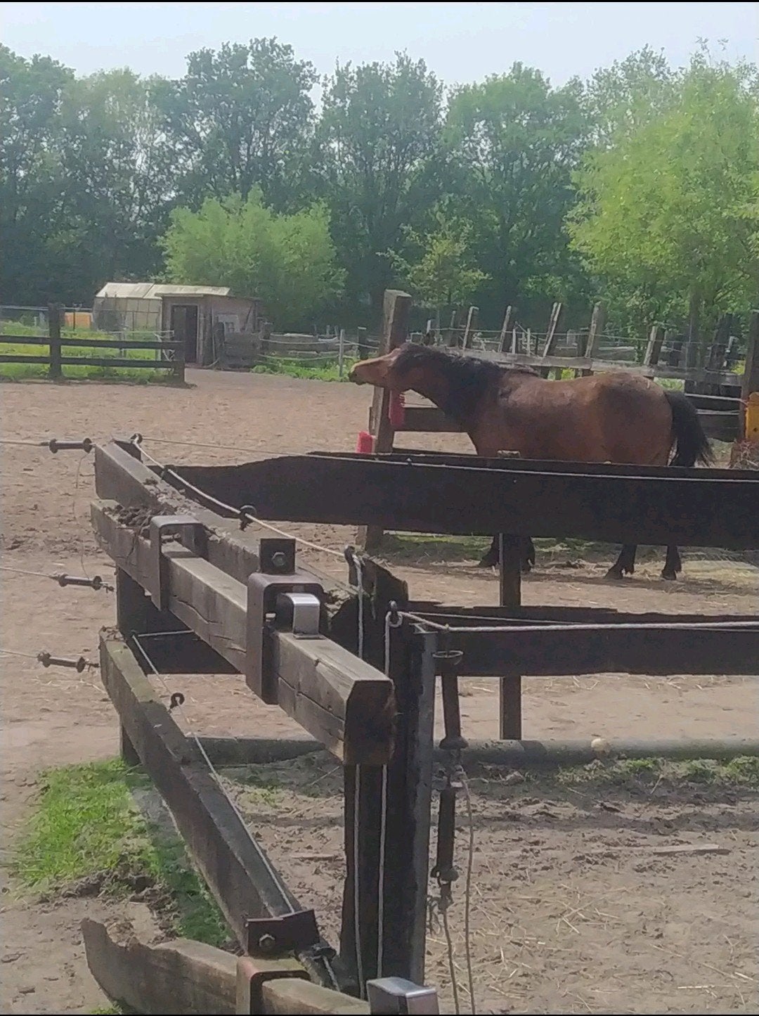 Stalling aangeboden, Dieren en Toebehoren, Stalling en Weidegang, Weidegang
