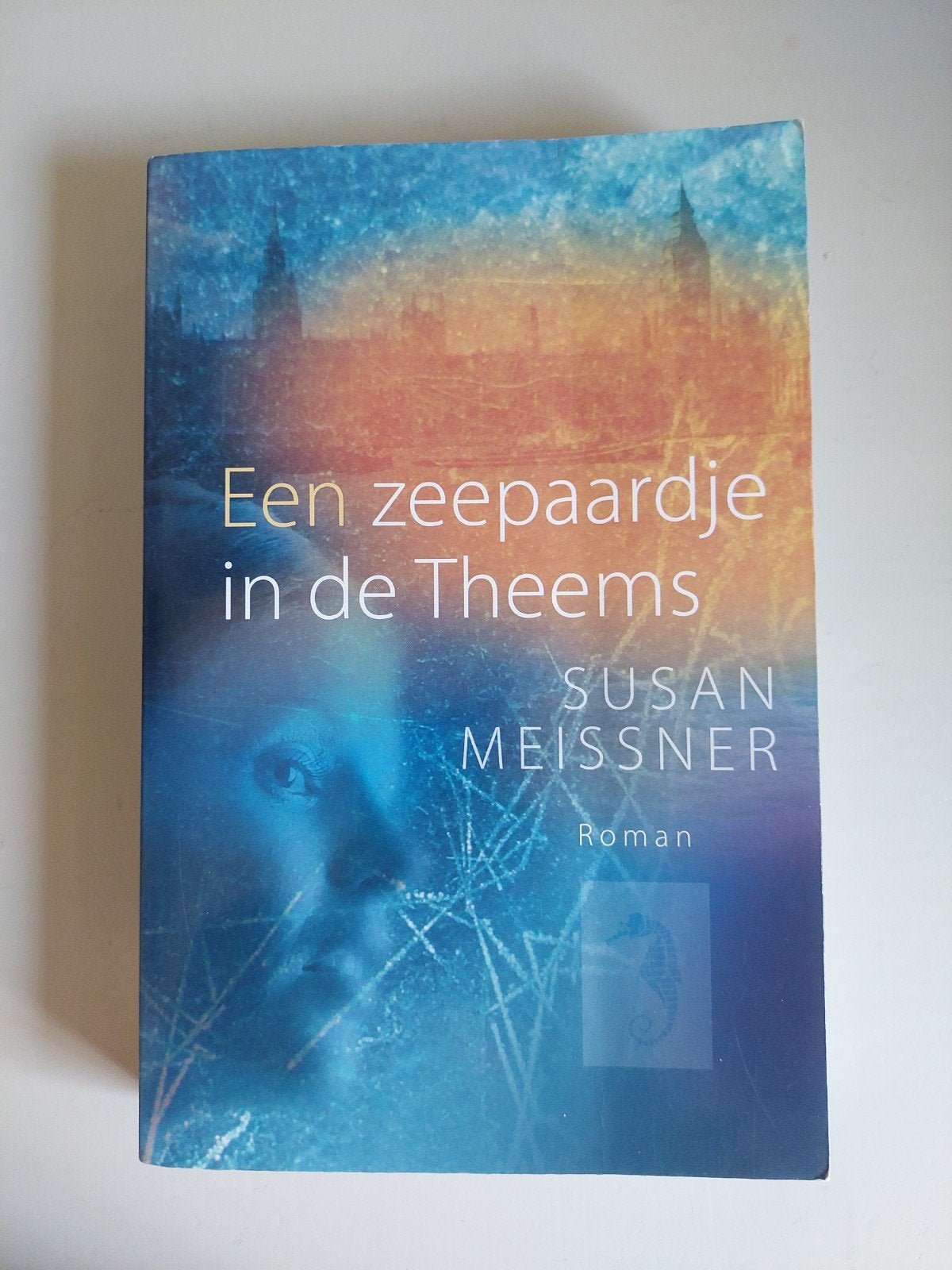 Een zeepaardje in de Theems - Susan Meissner Roman, Ophalen of Verzenden, Gelezen, Susan Meissner, Nederland