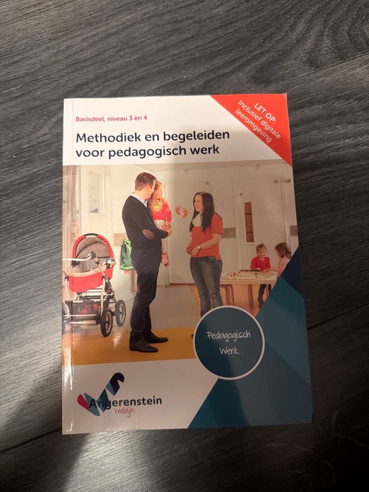 Methodiek en begeleiden voor pedagogisch werk, Boeken, Ophalen of Verzenden, Gamma, Zo goed als nieuw, MBO