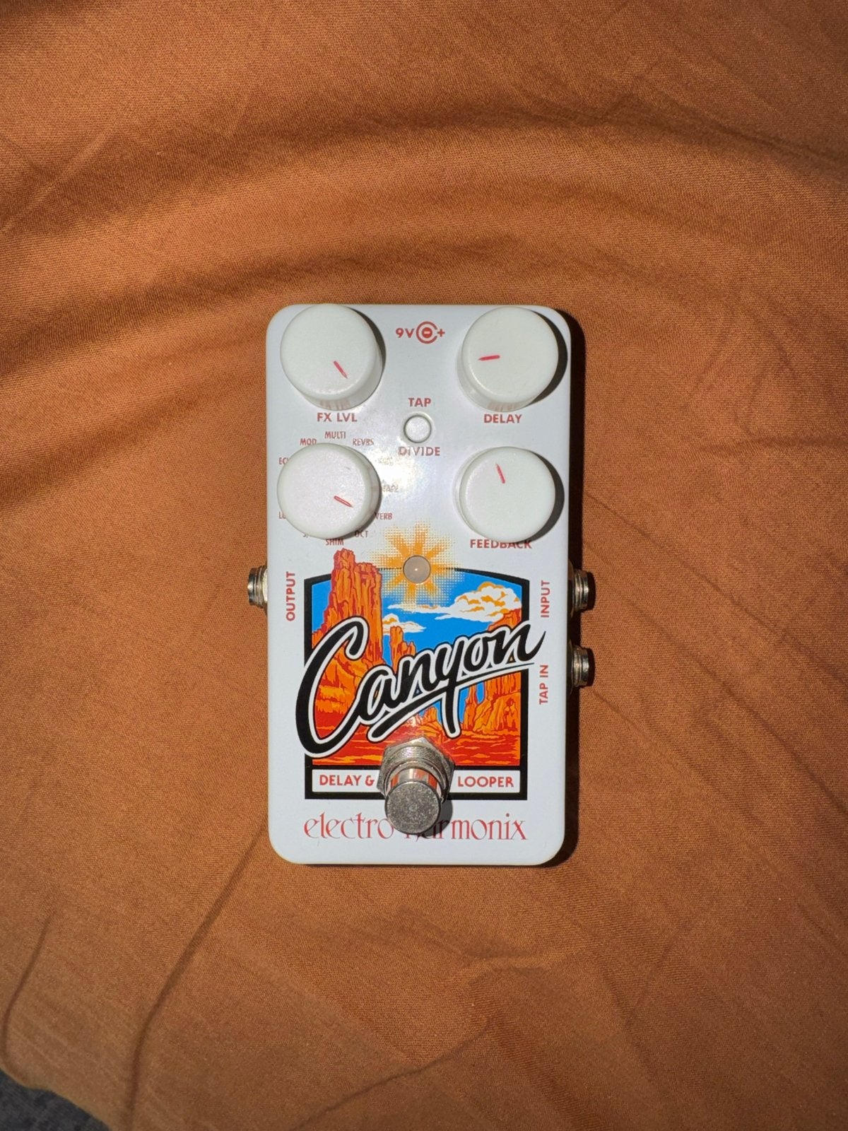 Electro-Harmonix Canyon Delay & Looper Pedaal, Ophalen of Verzenden, Zo goed als nieuw, Delay of Echo