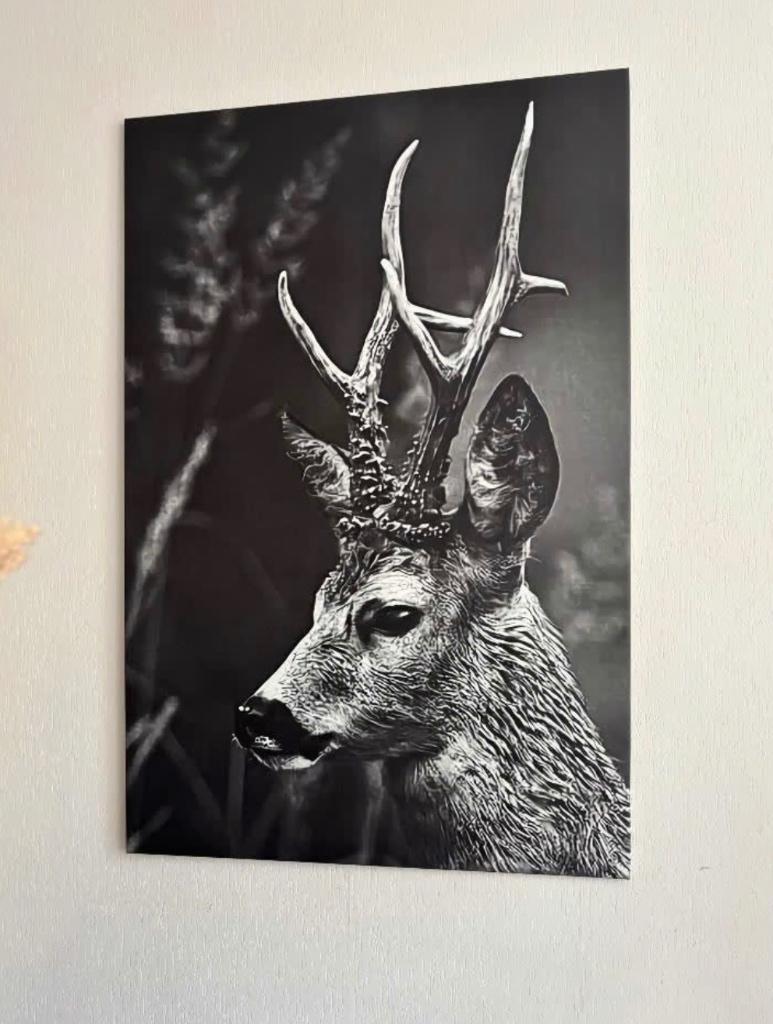 Groot doek/poster met afbeelding, Ophalen, Zo goed als nieuw, 100 tot 125 cm, Foto of Poster