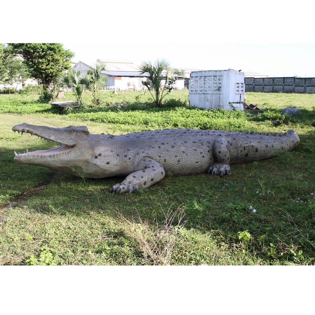 Crocodile 18ft. – Krokodil beeld Lengte 6 meter, Verzamelen, Ophalen, Nieuw, Overige typen
