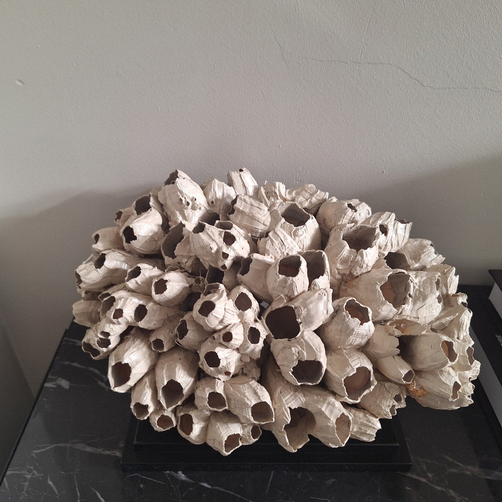 Prachtig groot pokken cluster Beige zwevend op voet, Ophalen of Verzenden, Overige typen