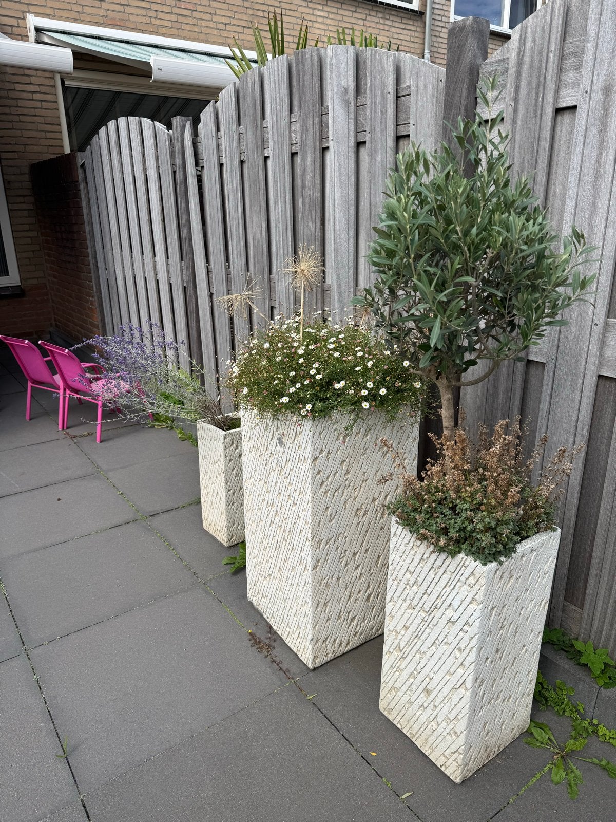 Stijlvolle plantenbakken van beton/steen, Ophalen, Gebruikt, Balkon, Minder dan 60 cm