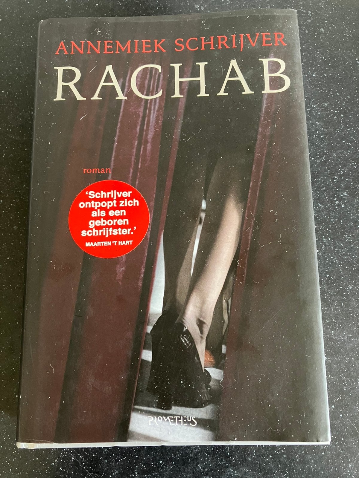 Annemiek Schrijver-Rachab izgs, Ophalen of Verzenden, Gelezen, Nederland