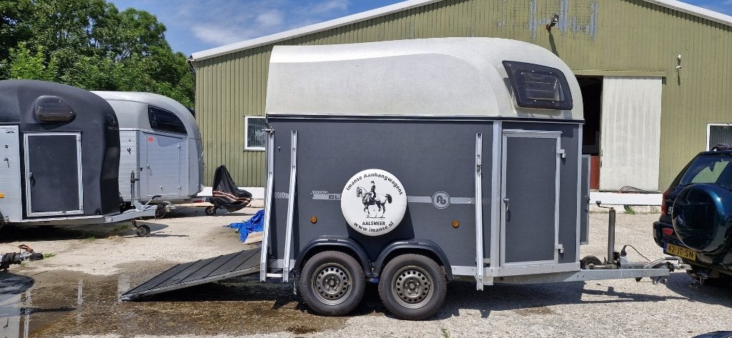 Paardentrailer Blomert Singapore 1,5 paards, Dieren en Toebehoren, Ophalen, Zo goed als nieuw, Polyester, 1½-paards trailer
