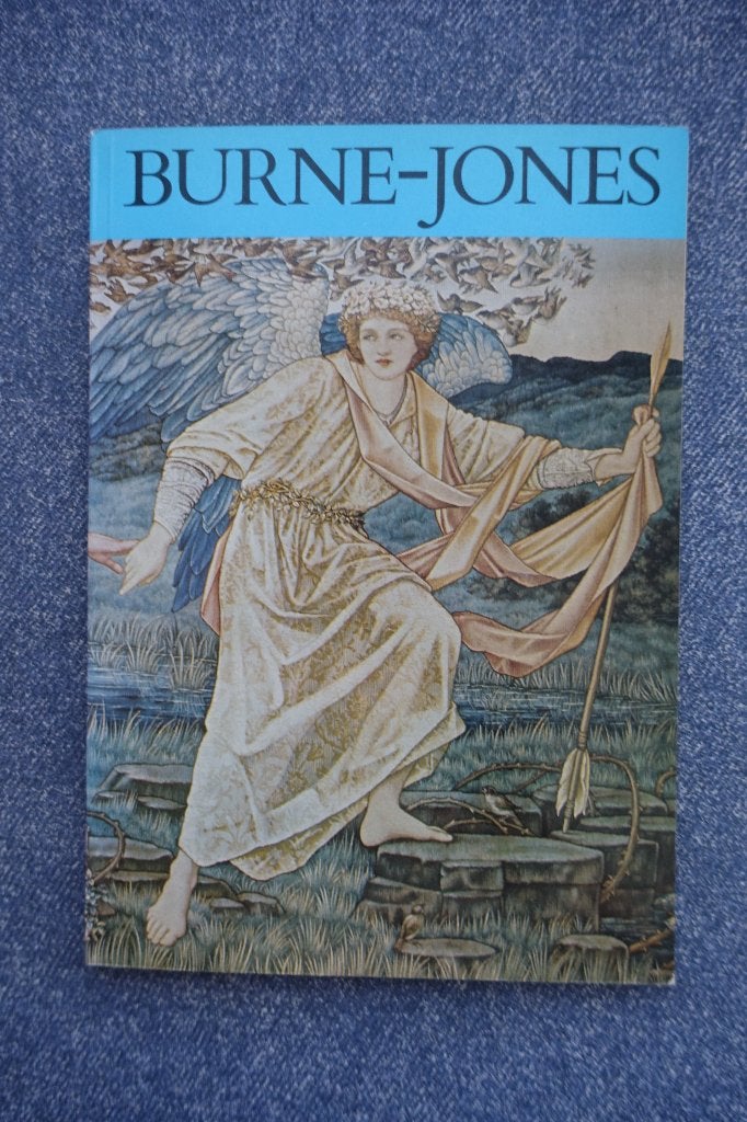 May Johnson. Burne-Jones, Ophalen of Verzenden, Zo goed als nieuw, Schilder- en Tekenkunst