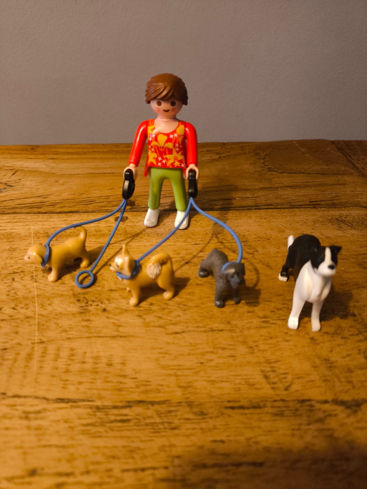 Playmobil 5380 Hondenuitlaatservice met 4 honden, Ophalen of Verzenden, Gebruikt, Jongen of Meisje