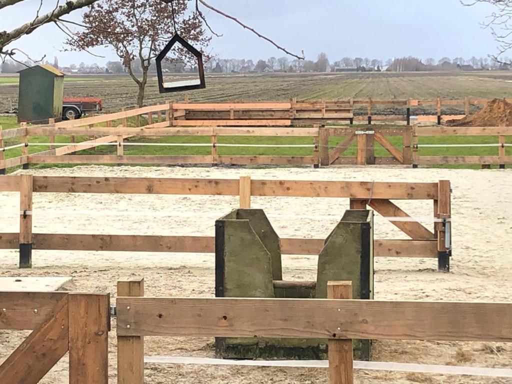 Gezocht stalling paard en pony, Dieren en Toebehoren, Stalling en Weidegang, Stalling