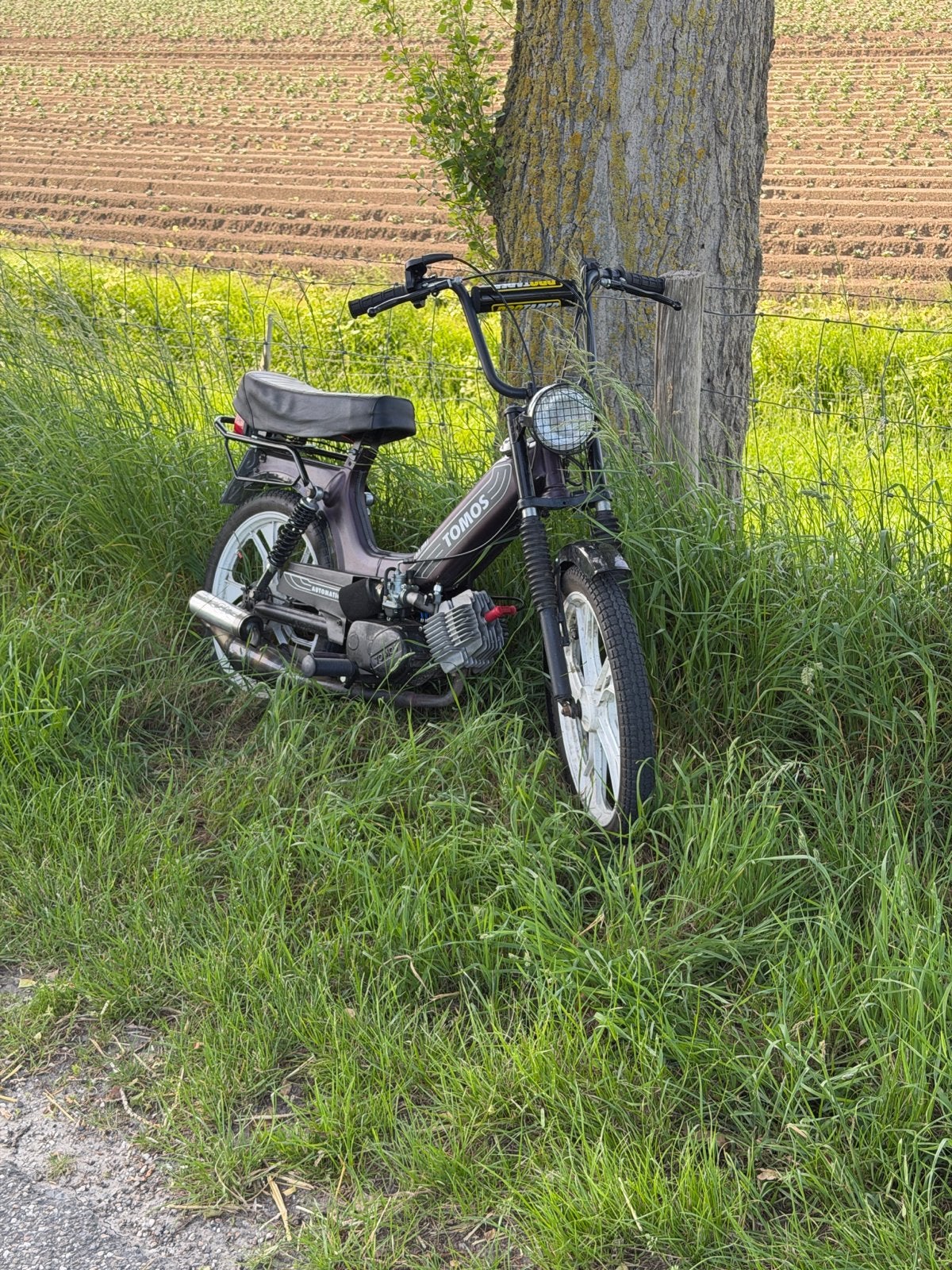 Tomos s25, Fietsen en Brommers, Ophalen, Gebruikt, 65 cc, Overige modellen