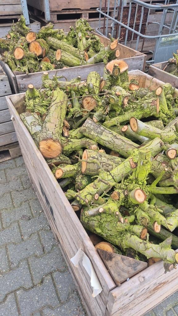 Ongekliefd haardhout peer, Minder dan 3 m³, Ophalen, Overige houtsoorten, Stammen