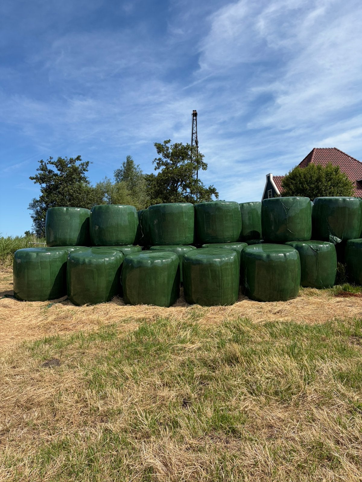 Ronde balen hooi, Ophalen, Vee
