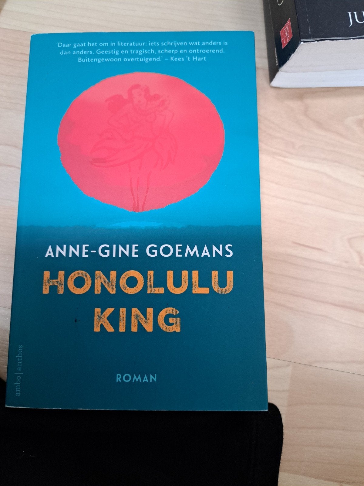 Honolulu King - Anne-Gine Goemans (Roman), Ophalen of Verzenden, Zo goed als nieuw, Anne-Gine Goemans, Nederland