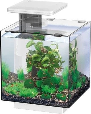 Aquarium 15 liter qubiq wit vierkant met led ongebruikt, Dieren en Toebehoren, Vissen | Aquaria en Toebehoren, Ophalen, Nieuw
