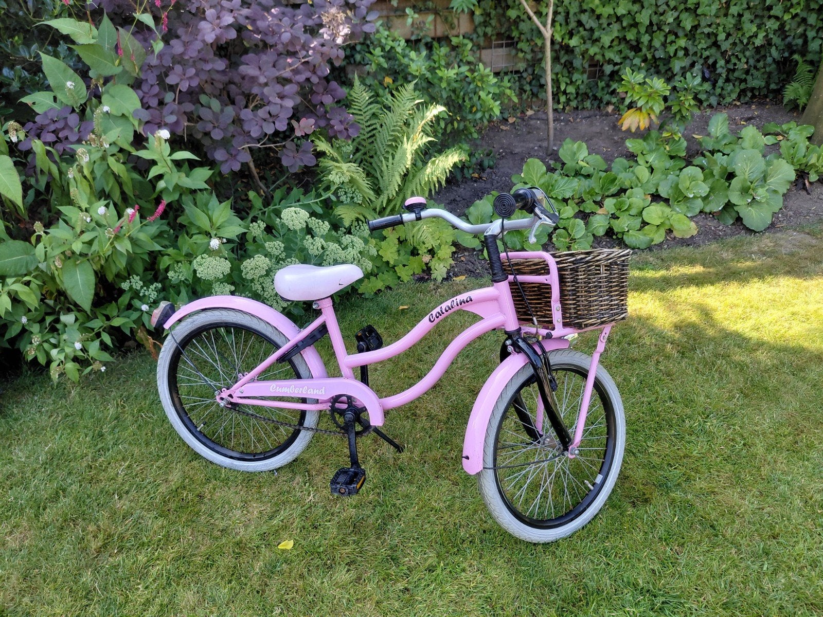 stoer meisjes fiets , 20 inch, Ophalen, Gebruikt, 20 inch of meer