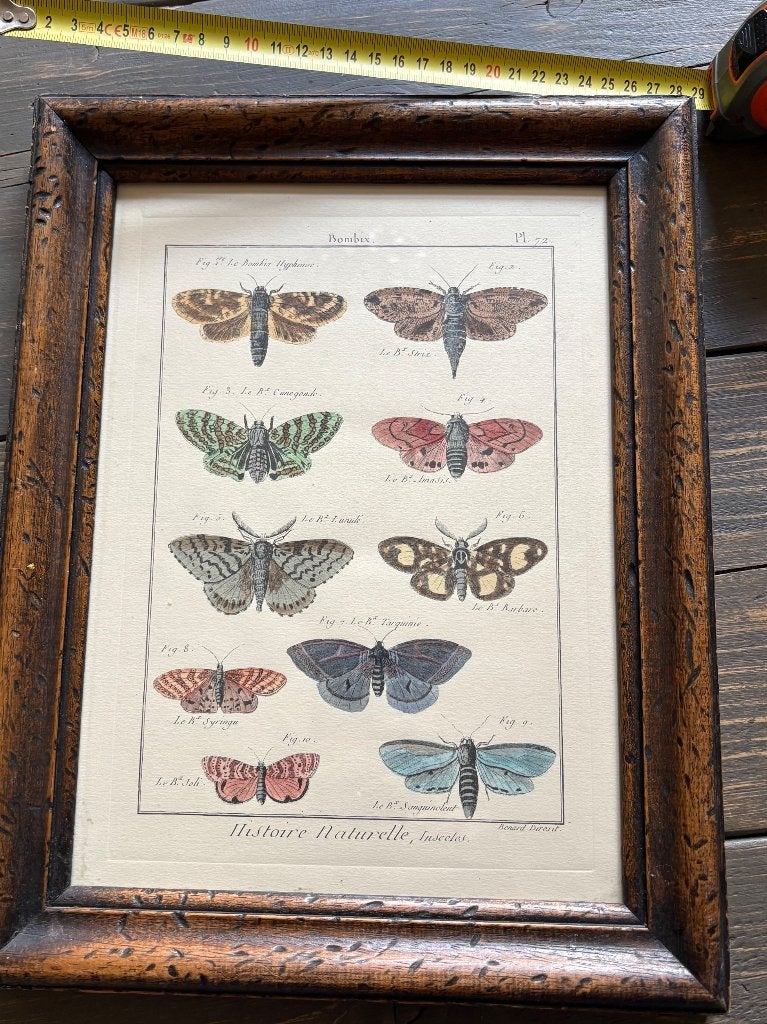 2 mooie schilderijen met vlinders, Ophalen of Verzenden