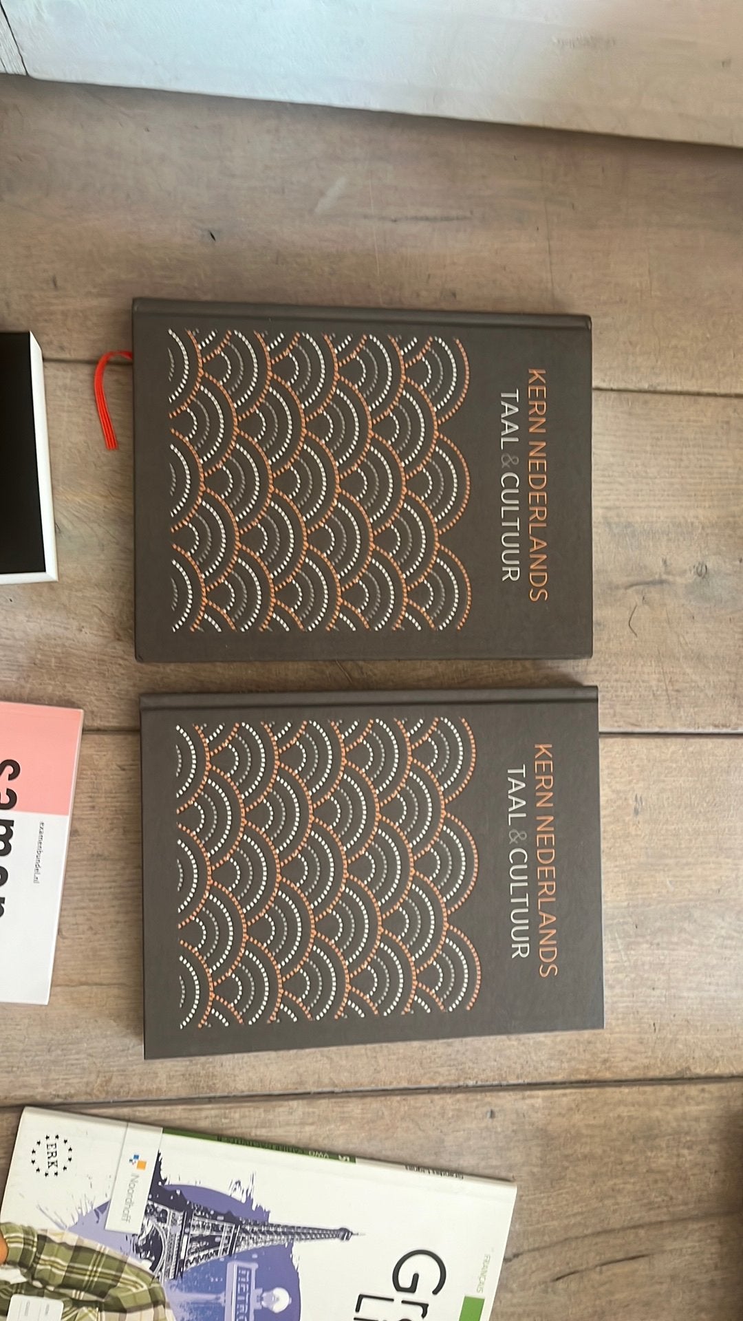Diverse schoolboeken 5 Vwo, Boeken, Schoolboeken, Zo goed als nieuw, Nederlands, Overige niveaus, Verzenden